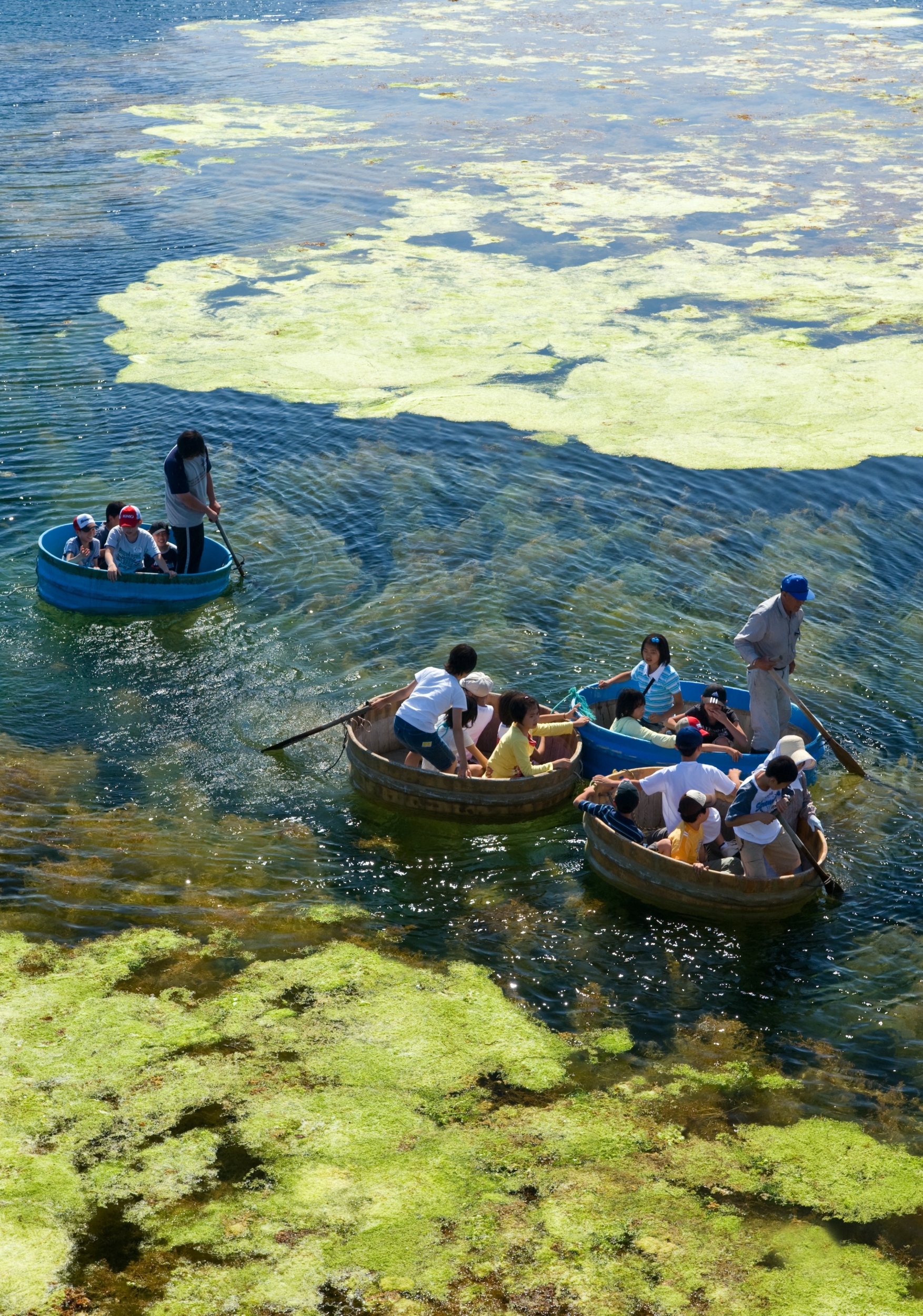 Autumn in Niigata, Sado Island & Nagano